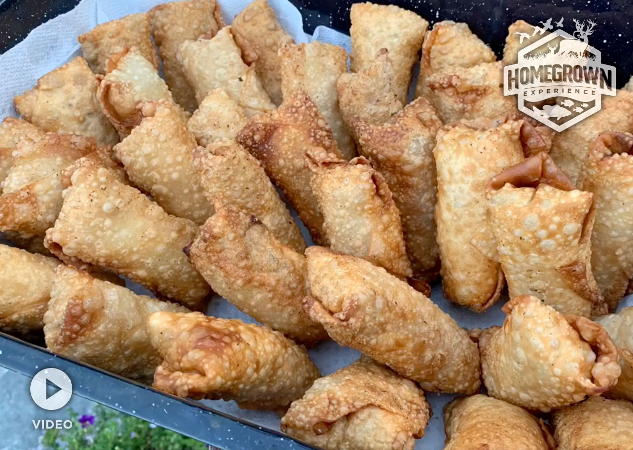 Read more about the article Dove Egg Roll Recipe