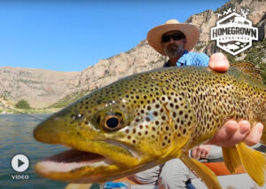 Read more about the article Fly Fishing For Giant Wild Trout in Wyoming