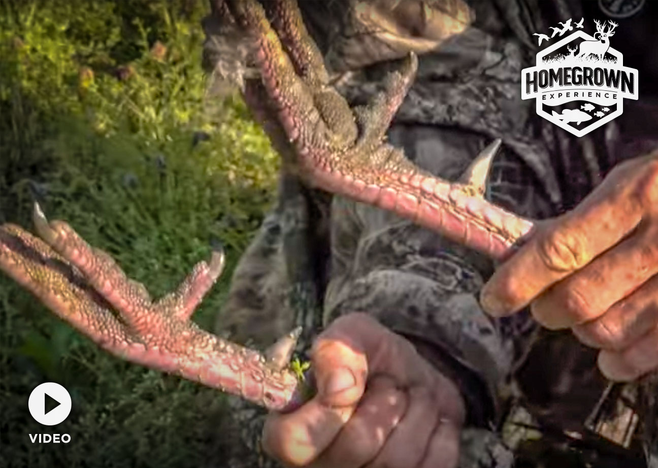 You are currently viewing River Bottom Longbeards with Arthur Hancock and Casey Stockton